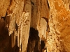 fig_tree_cave_2.jpg
