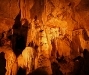 fig_tree_cave_4.jpg