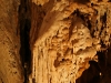 fig_tree_cave_5.jpg